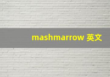 mashmarrow 英文